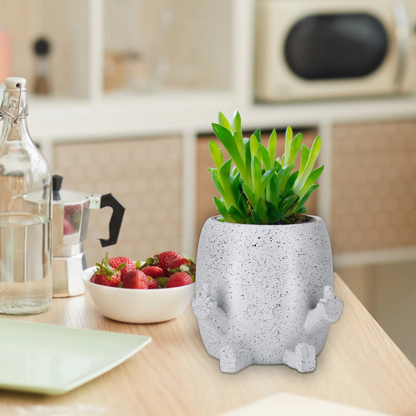 Funny Expression Middle Finger Flower Garden Planter