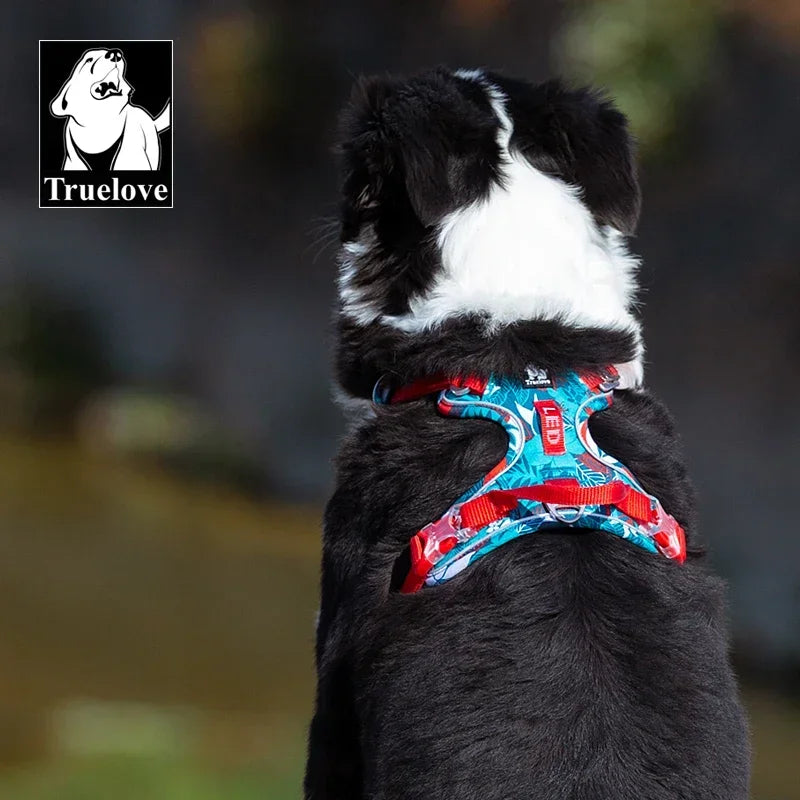 Dog Harness Reflective Nylon Special Edition, Upgrade Version