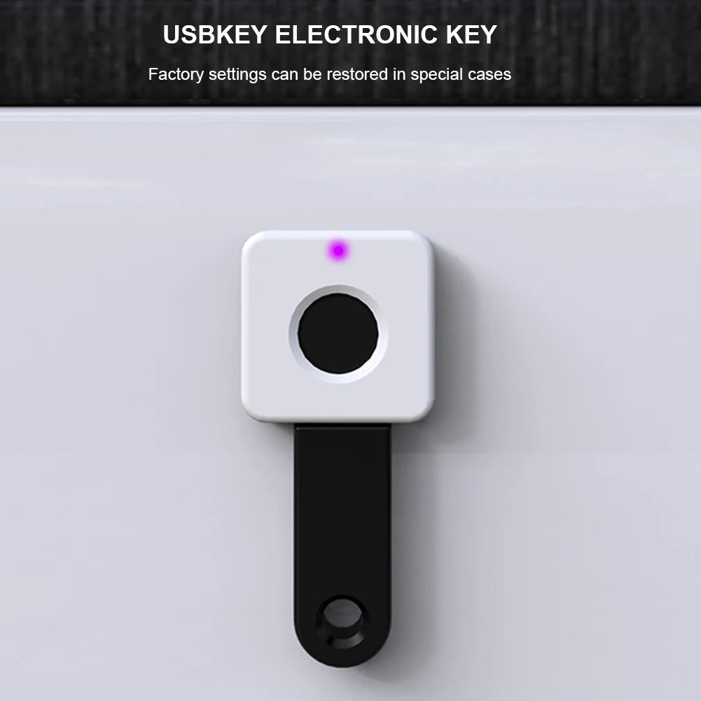 Hidden Drawer Electronic Lock Keyless Lock