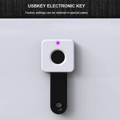 Hidden Drawer Electronic Lock Keyless Lock
